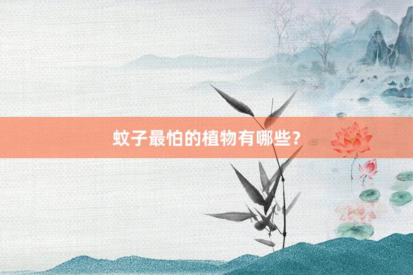 蚊子最怕的植物有哪些？