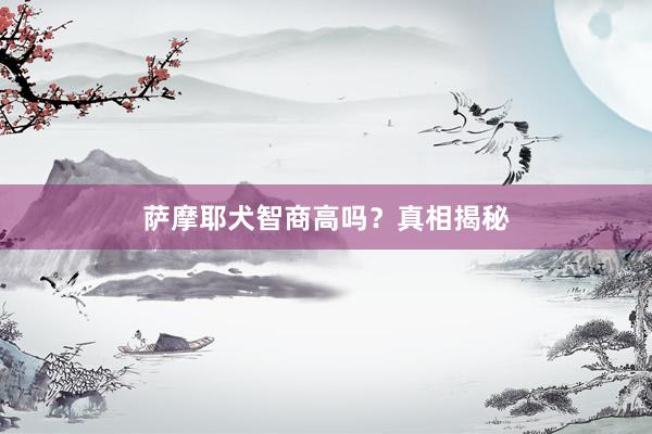 萨摩耶犬智商高吗?真相揭秘