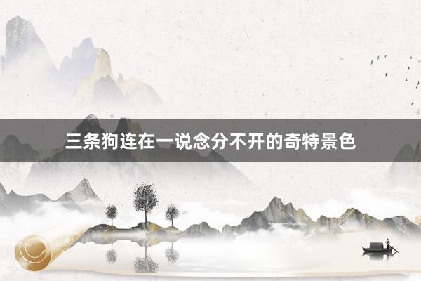三条狗连在一说念分不开的奇特景色